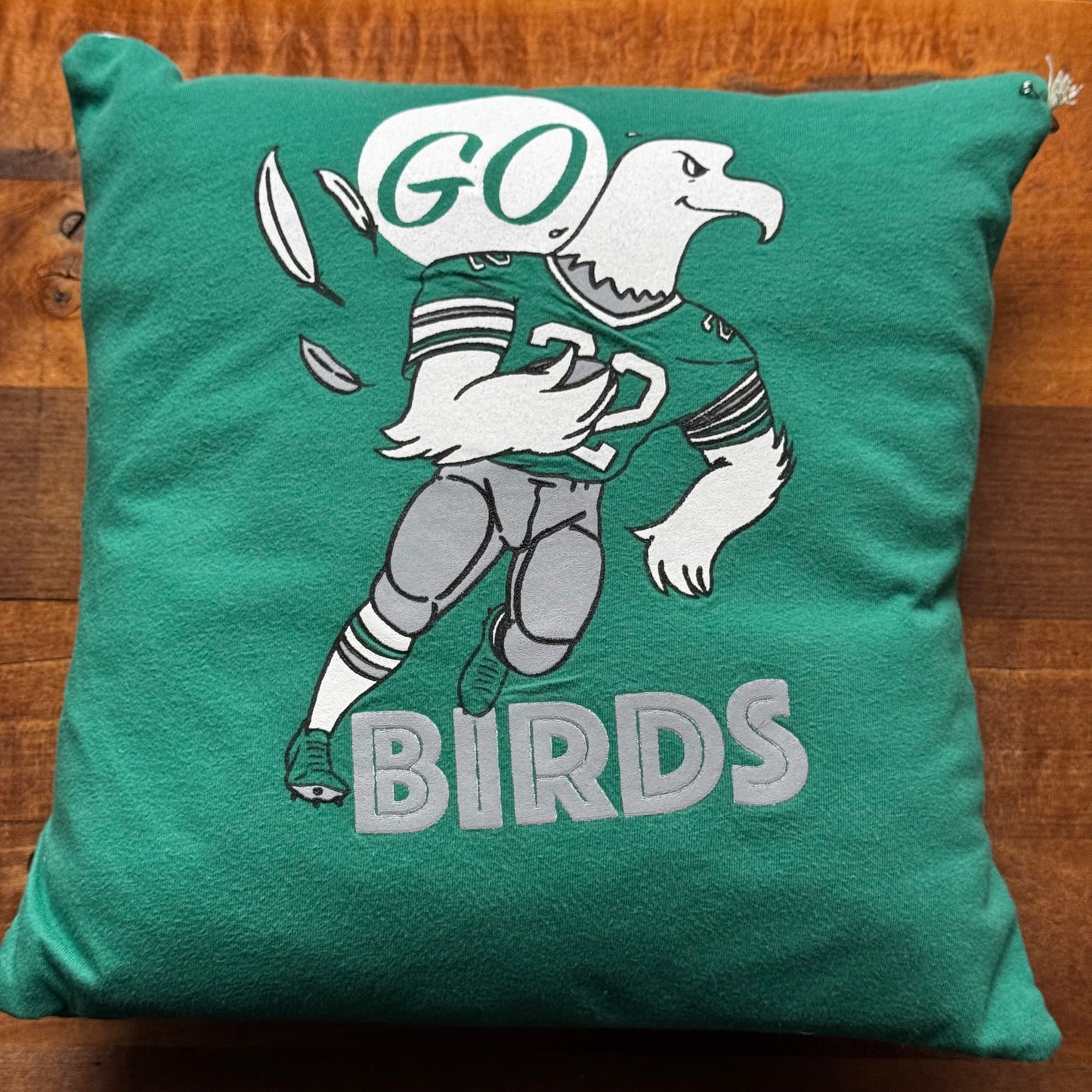 Philly Sports Pillows